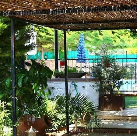Guzelyali Ayvalı